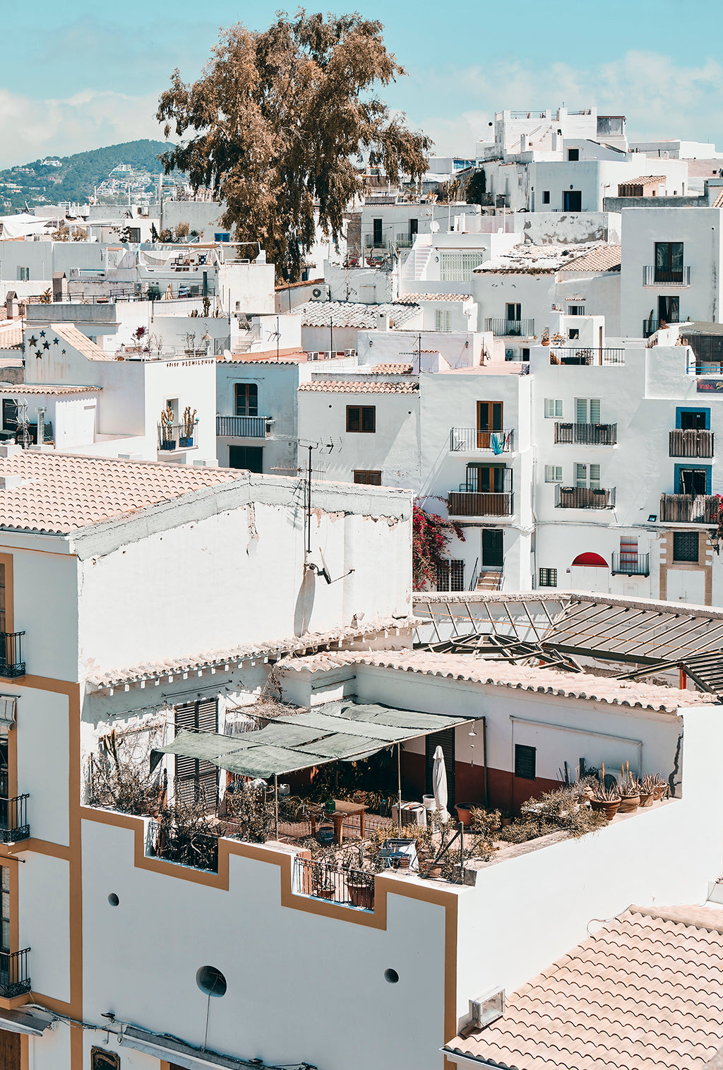 Ibiza Old town colours