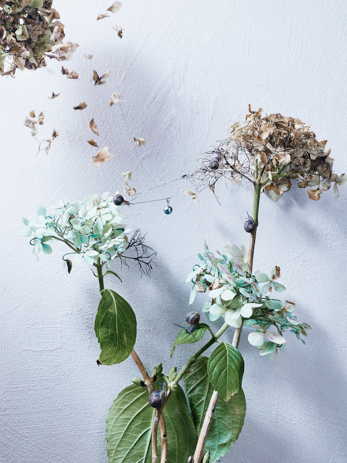 Precious Things - Charlotte's web