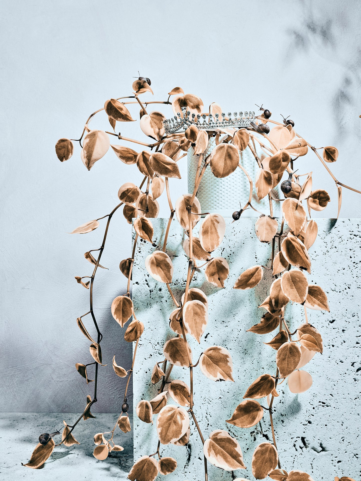 Precious Things - Crowning glory