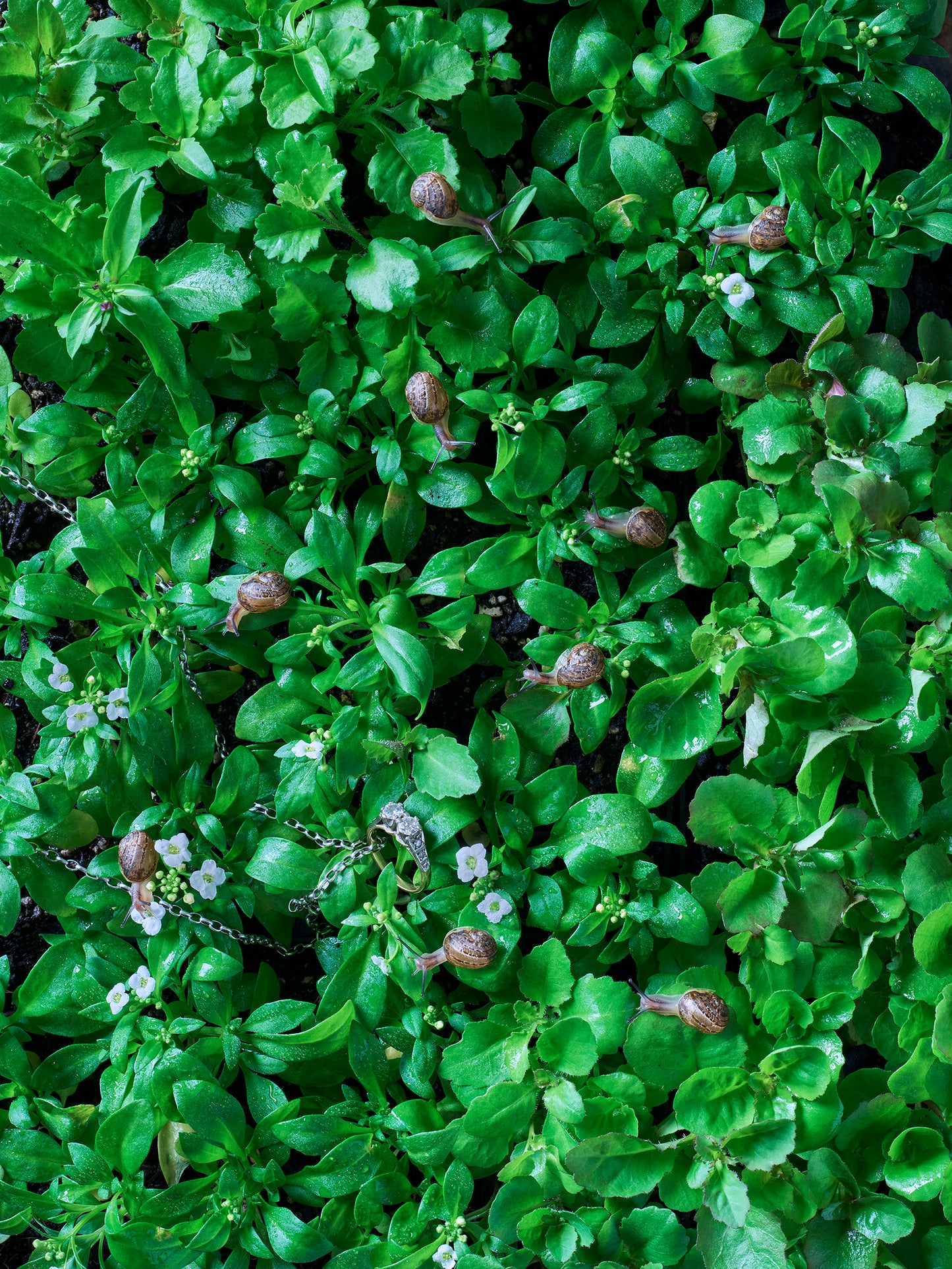 Precious Things - Finding love