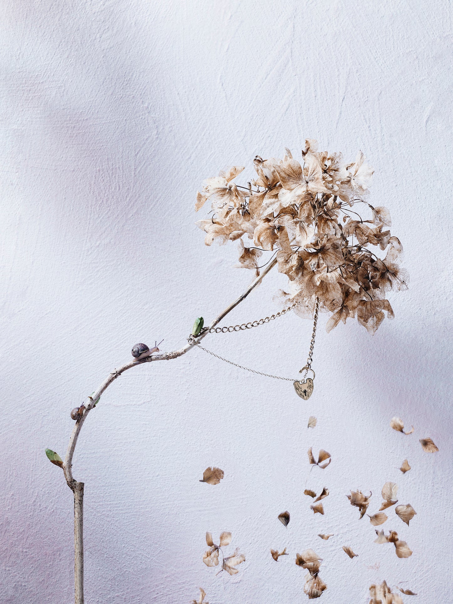 Precious Things - Petal