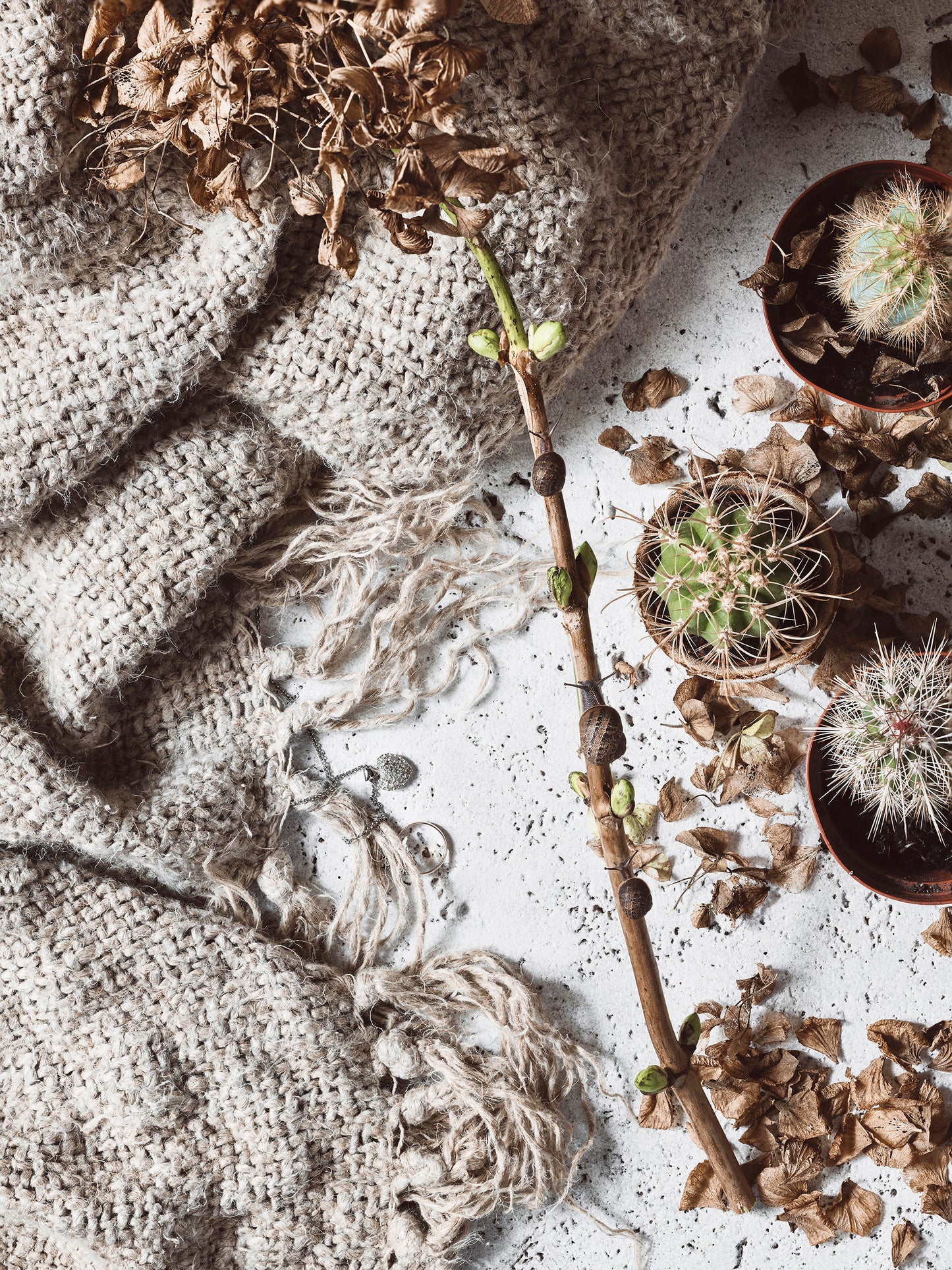 Precious Things - Tangled