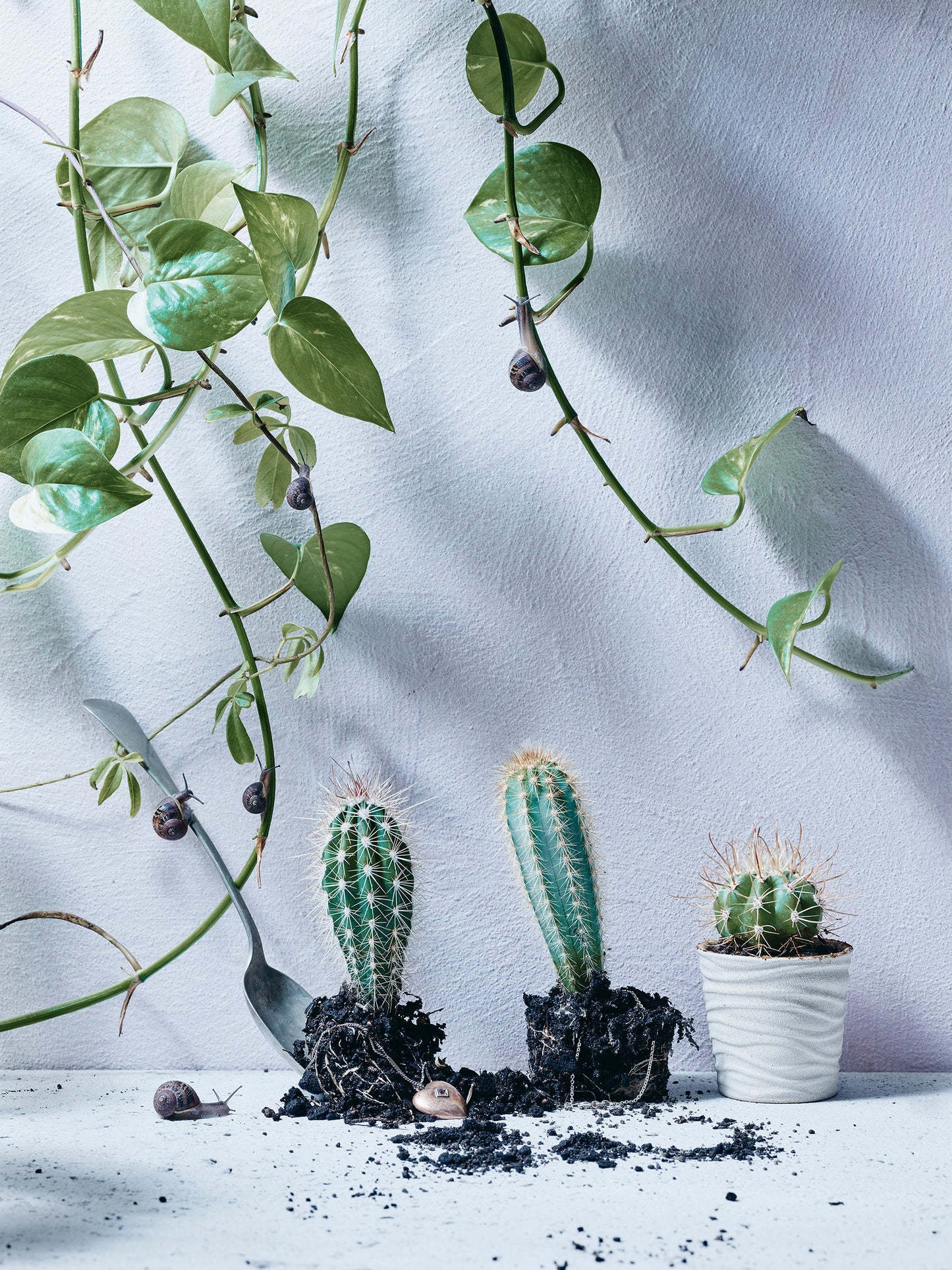 Precious Things - Unearthed